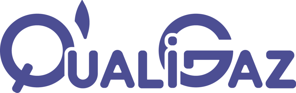 Logo QualiGaz, Nouvelles Énergies Services, Entreprise d’Energie Renouvelable à Fontenay-le-Comte